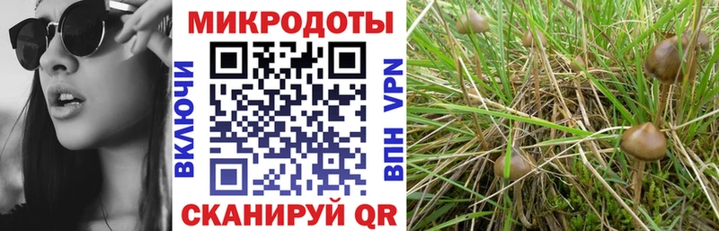 Псилоцибиновые грибы GOLDEN TEACHER  omg вход  Муравленко 